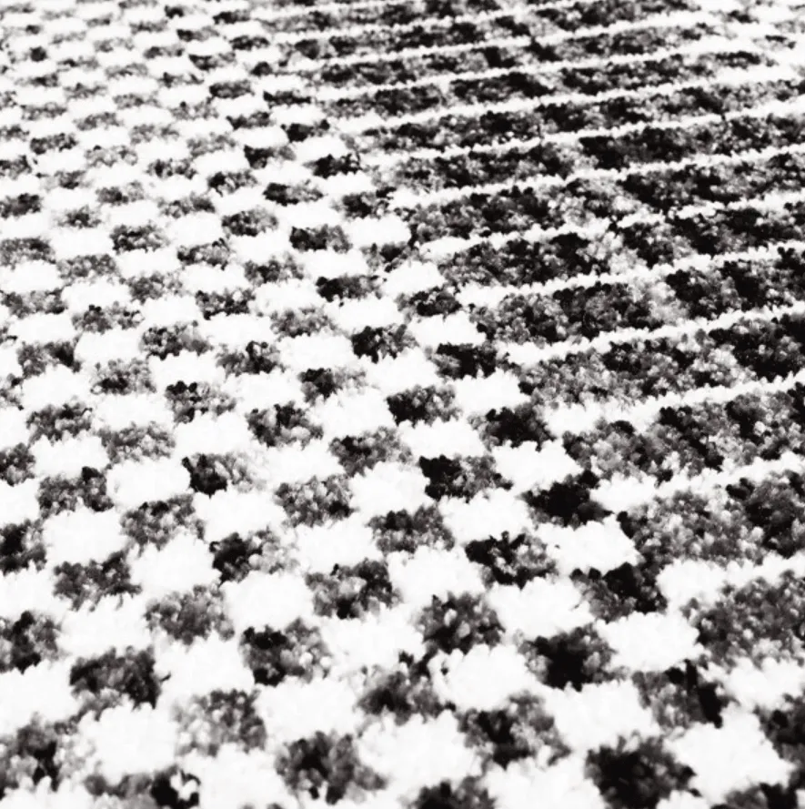 Koberec Wilton - Renous (šedý)