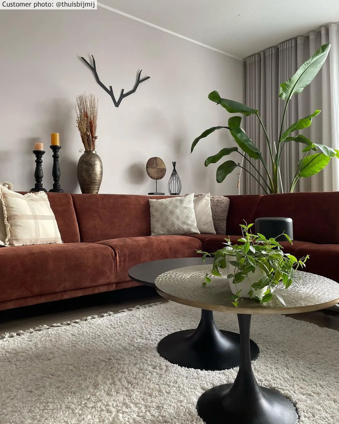 Koberce s dlhým vlasom - Orellana (béžová)