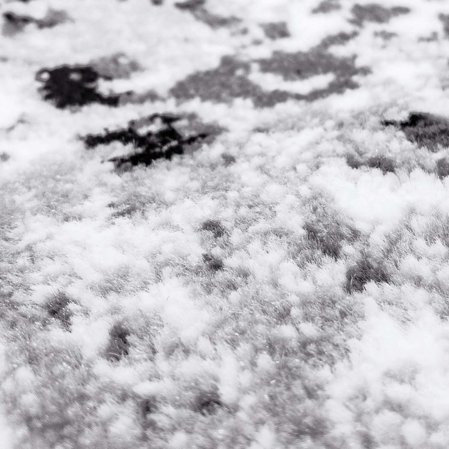 Koberec Wilton - Ifrane (šedý)