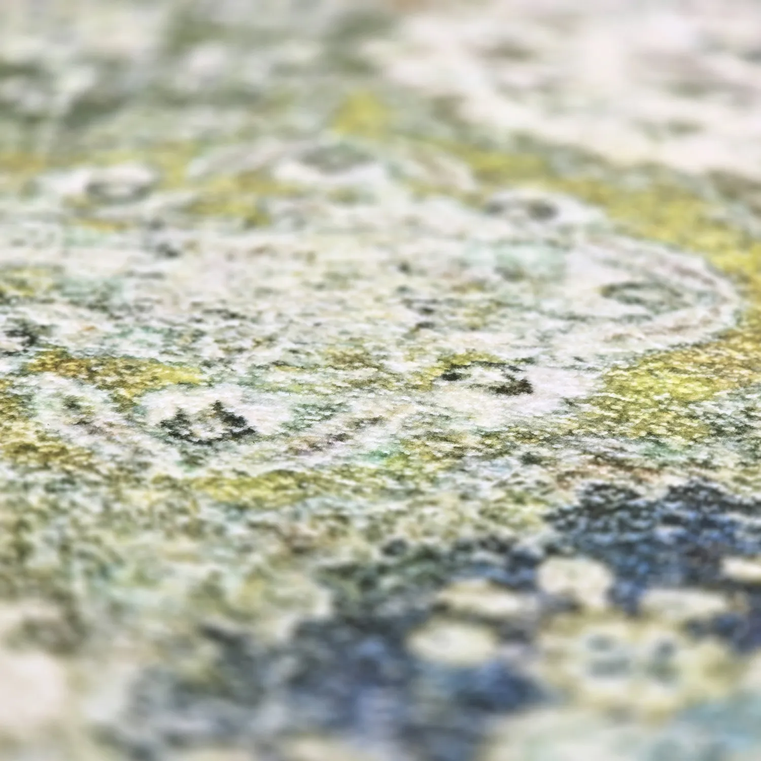 Koberec Wilton - Bohemia (zelený/multi)