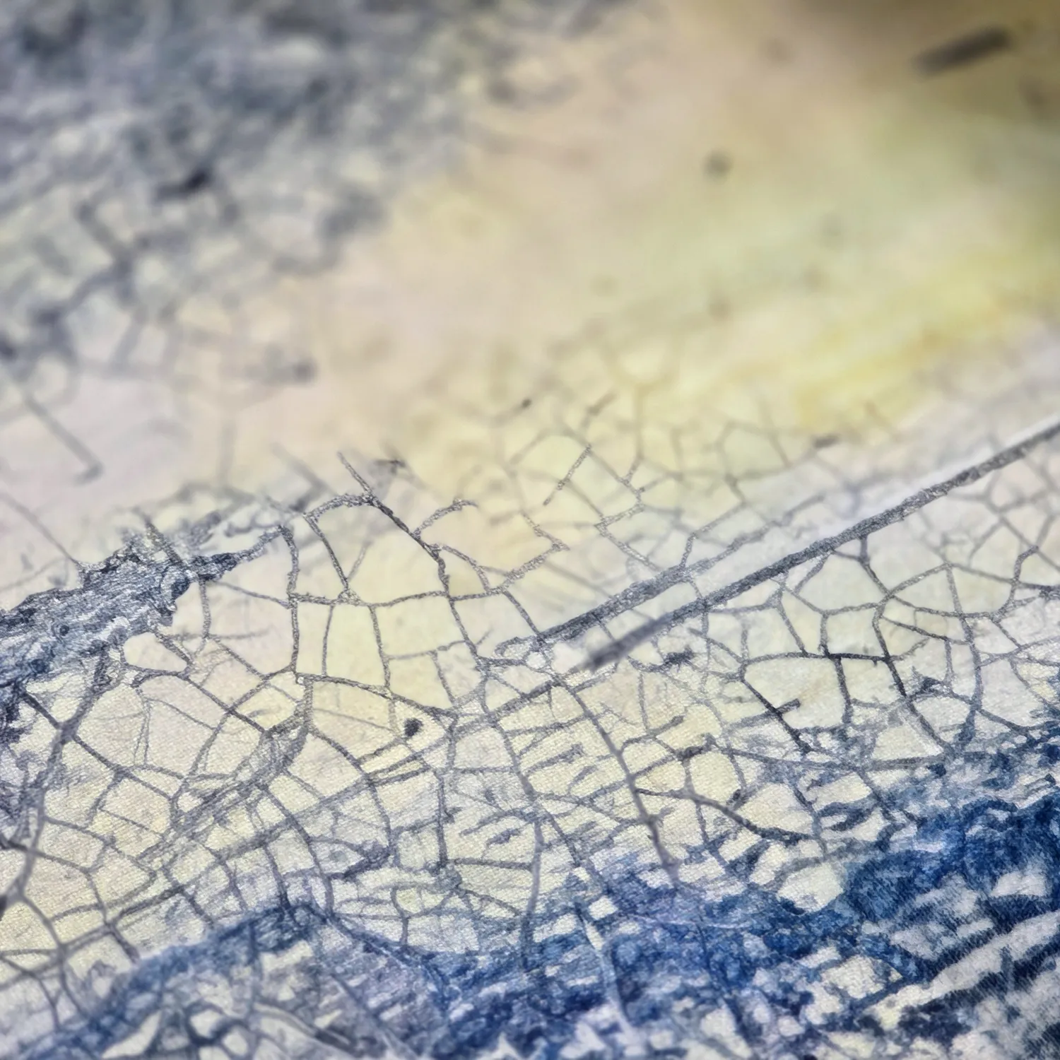 Koberec Wilton - Dolmio (modrý/multi)