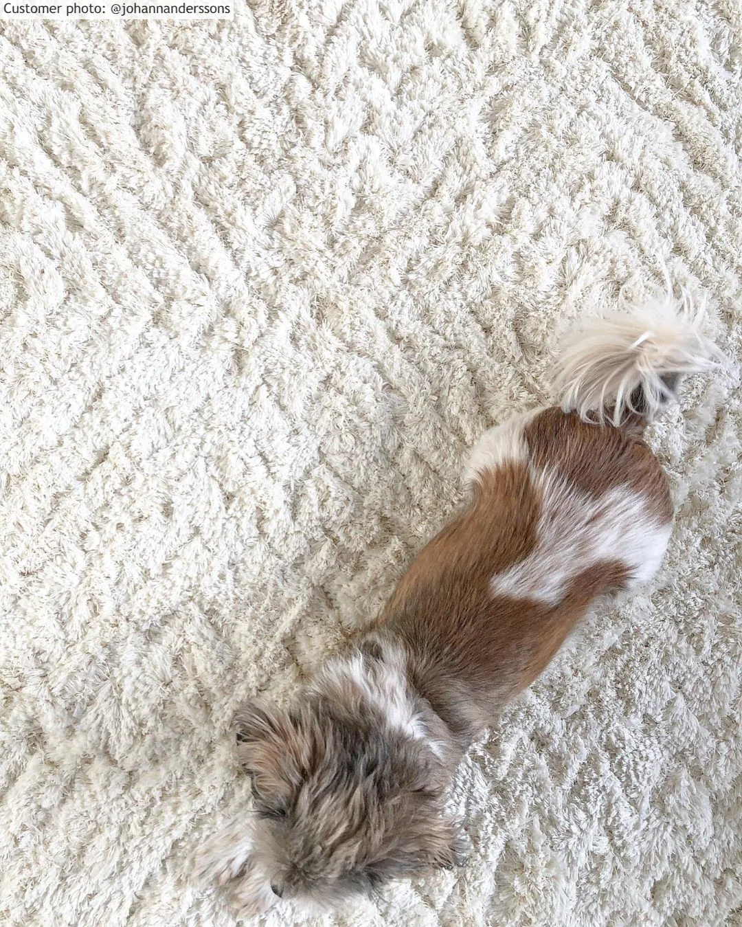 Kruhové koberce - Stettin (offwhite)