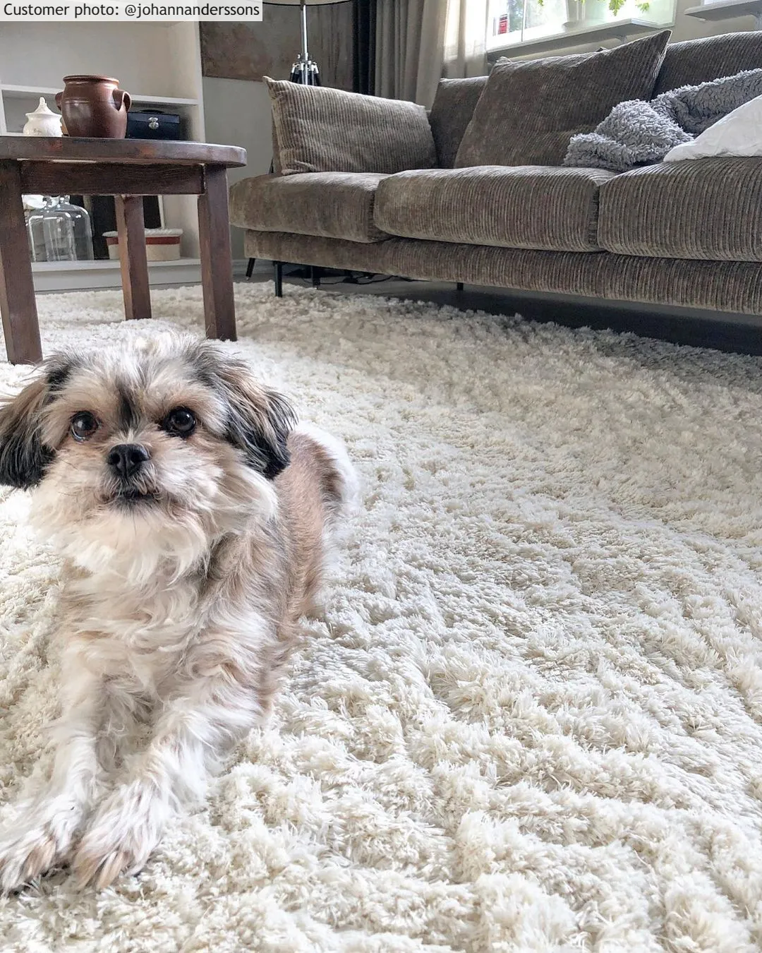 Koberce s chlupem - Stettin (offwhite)