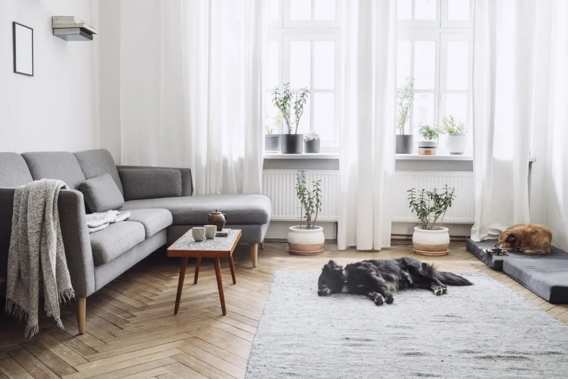Gardiner_vardagsrum_gra_soffa