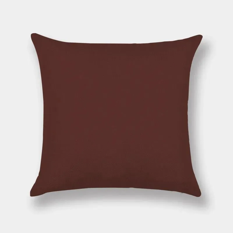 kuddar_till_beige_soffa